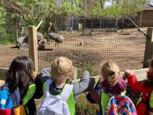 International Preschool at the French American Academy. Visits to Bergen County Zoo