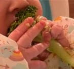 Baby Eating