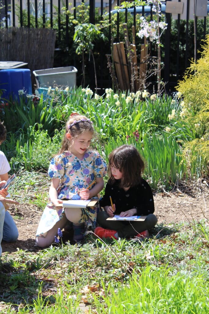 Jersey City Community Garden
