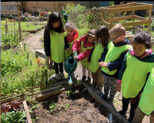 Community Garden