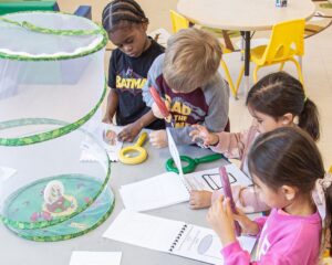 Inquiry and project-based learning